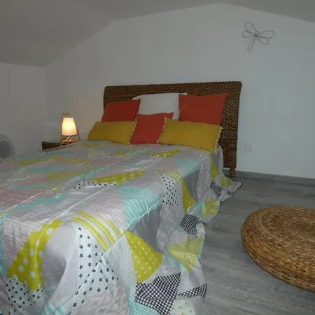 Feriehus Maison Familiale Pres De La Mer, Animaux Admis, Jardin - Fr-1-540-137